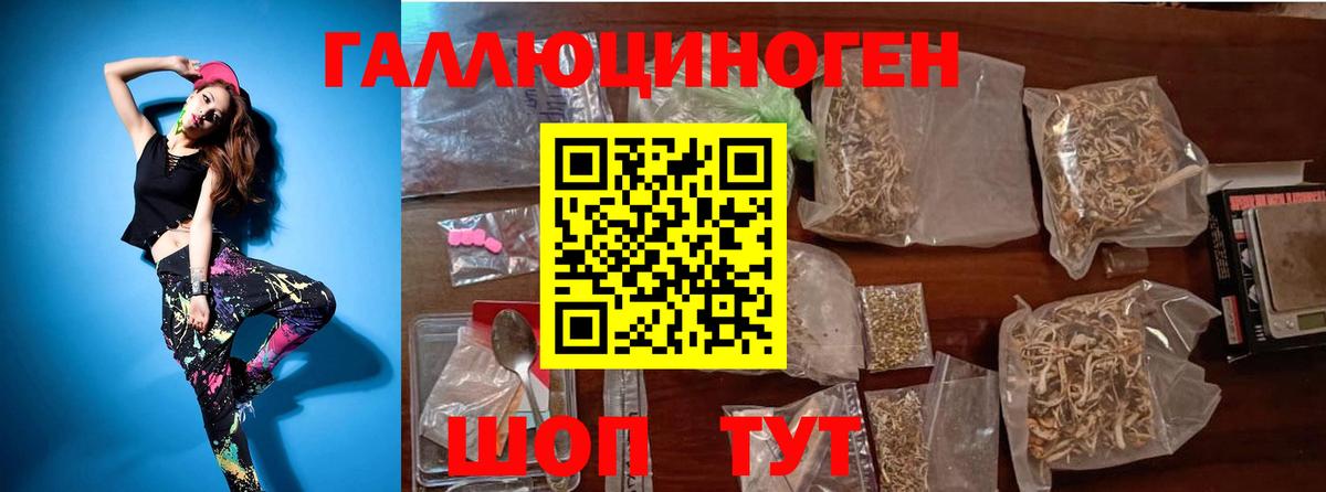 Галлюциногенные грибы Psilocybe Краснокамск